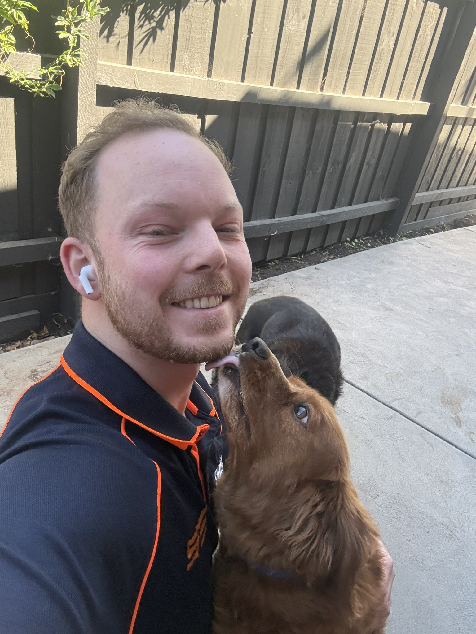 Pet Friendly Electricians